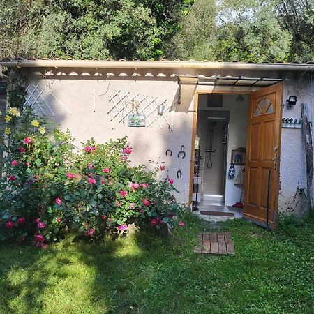 Studio A La Campagne Ucciani المظهر الخارجي الصورة