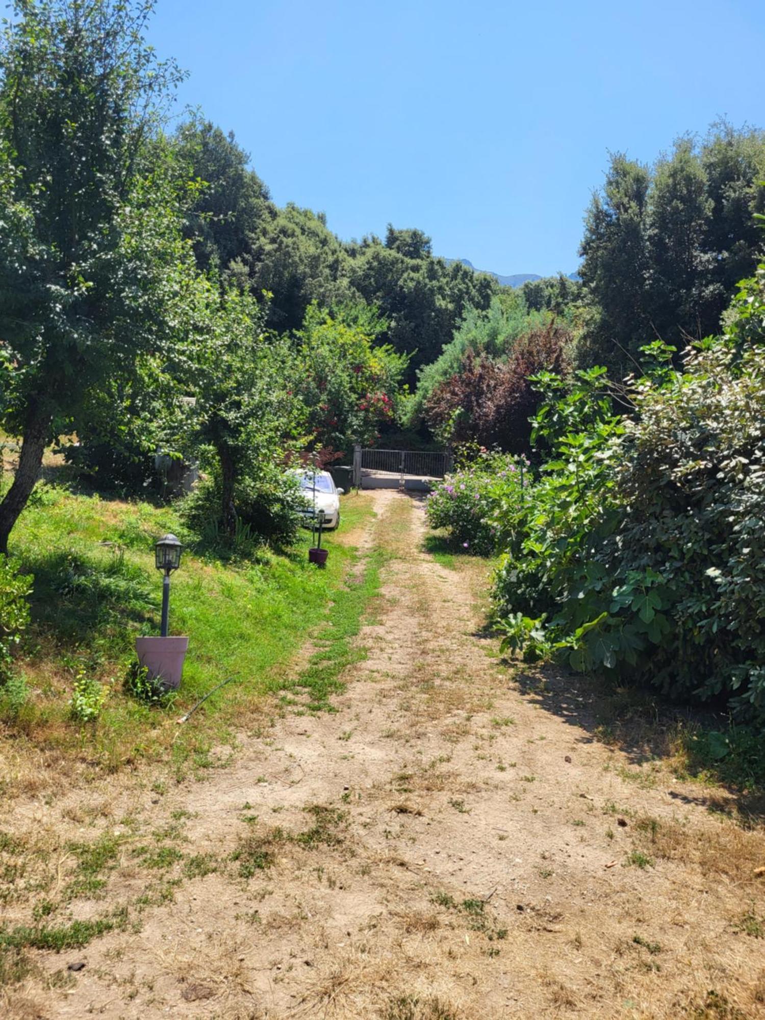 Studio A La Campagne Ucciani المظهر الخارجي الصورة